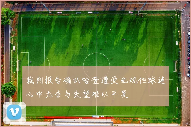裁判报告确认哈登遭受犯规但球迷心中无奈与失望难以平复