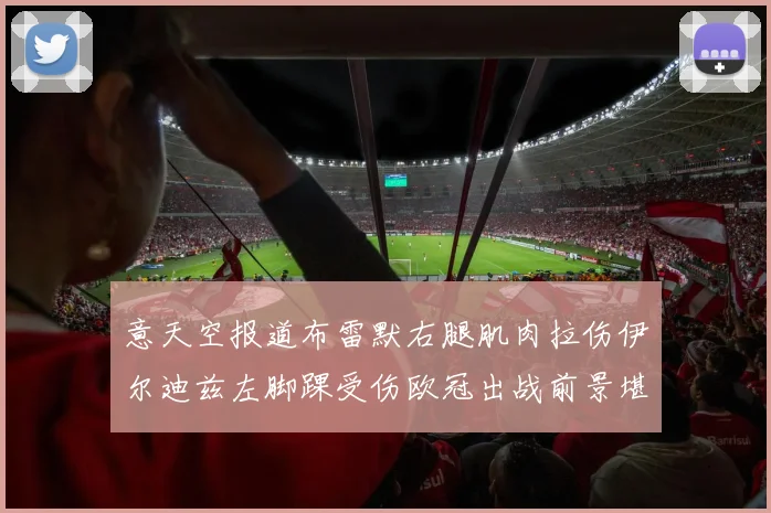意天空报道布雷默右腿肌肉拉伤伊尔迪兹左脚踝受伤欧冠出战前景堪忧