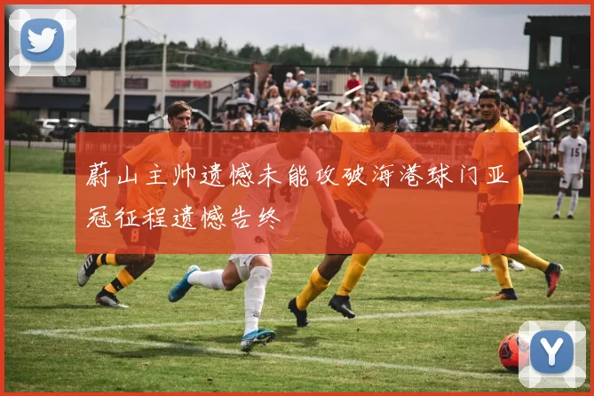 蔚山主帅遗憾未能攻破海港球门亚冠征程遗憾告终
